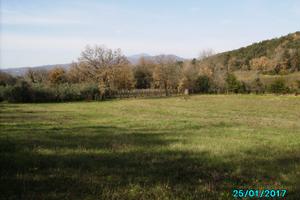 Terreno agricolo