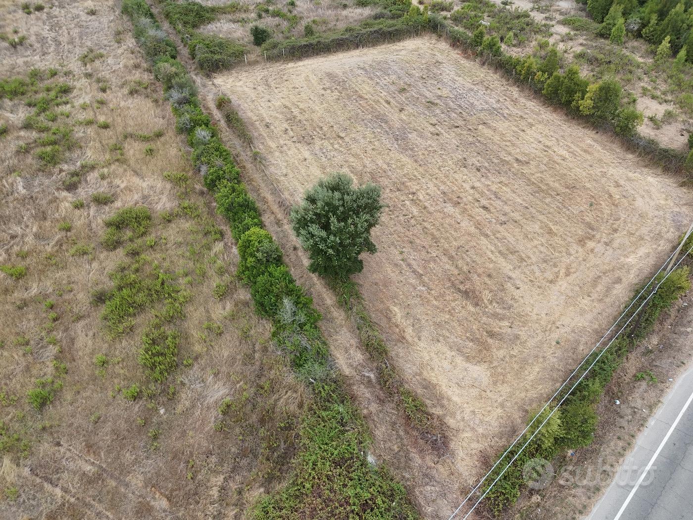 Terreno Agricolo Tortolì [Cod. rif 3255514VRG] - Vista 5