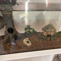 Accessori per acquario