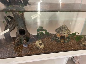 Accessori per acquario