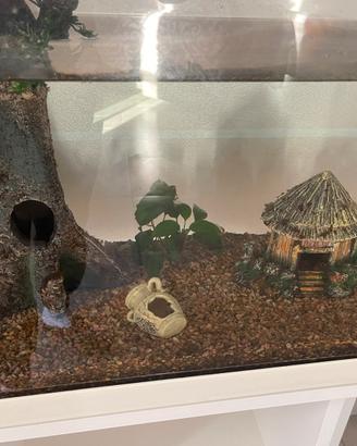 Accessori per acquario