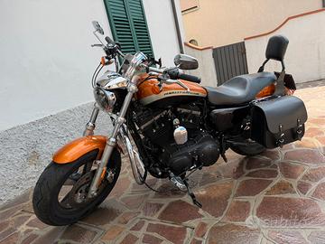Harley davidson sportster 1200 xl ca