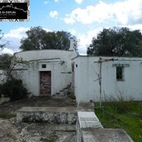 TRULLO SARACENO ELEN con ULIVETO SECOLARE - OSTUN