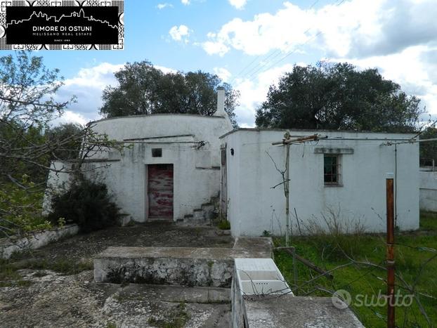 TRULLO SARACENO ELEN con ULIVETO SECOLARE - OSTUN