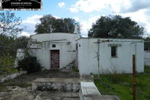 TRULLO SARACENO ELEN con ULIVETO SECOLARE - OSTUN