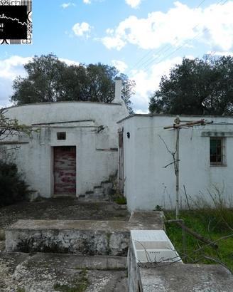 TRULLO SARACENO ELEN con ULIVETO SECOLARE - OSTUN