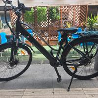 bici elettrica 