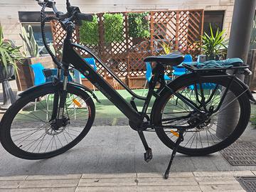 bici elettrica 