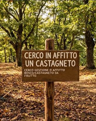 Castagneto Marroneta da frutti