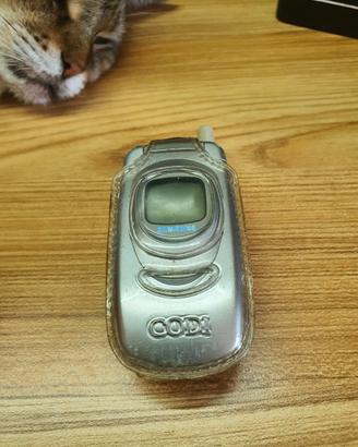 Samsung SGH-A800 vintage per collezionisti.