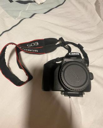 Canon EOS250D+Obiettivo 10-18mm + Manfrotto+scheda