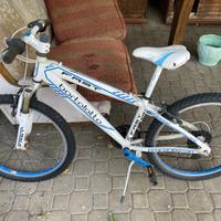 Bici BAMBINO - BORTOLOTTO e BTWIN