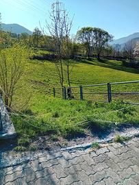 Terreno edificabile + agricolo