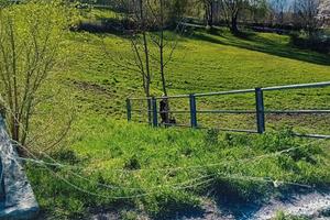 Terreno edificabile + agricolo