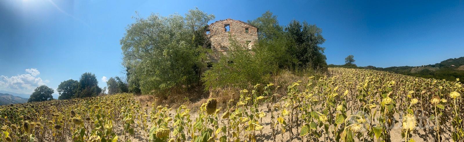 2 casali collabenti + 7 ettari terreno Montelparo - Vista 5