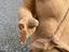 Immagine 9