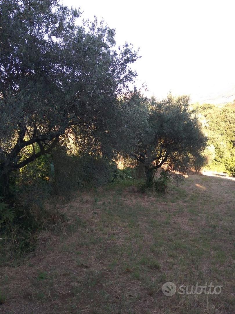 Vendo terreno agricolo - Ansicht 3