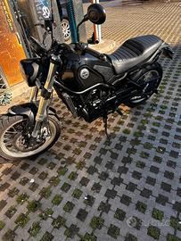 Benelli leoncino x trail