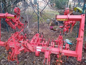 Sarchiatrice Gaspardo