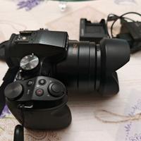 Lumix fz300