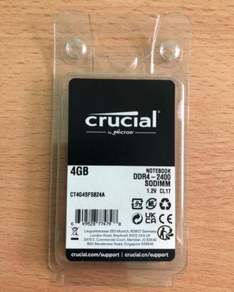 Memoria RAM crucial