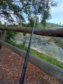 Canna Shimano bassterra + mulinello Daiwa bg5000