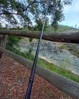 Canna Shimano bassterra + mulinello Daiwa bg5000