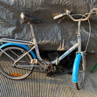 Graziella Atala da 20