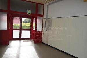 Arbus - Ampio Locale