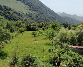 Terreno edificabile a MARATEA