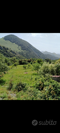 Terreno edificabile a MARATEA