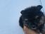 Immagine 3