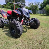 Polaris Outlaw 525 IRS