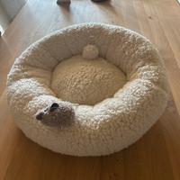 Cuccia micio o canino