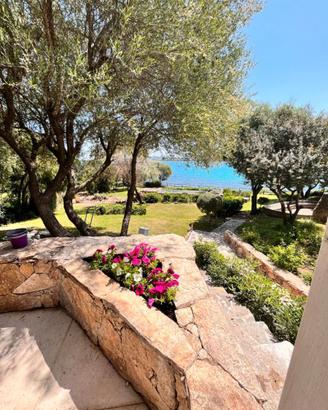 Muratore imbianchino