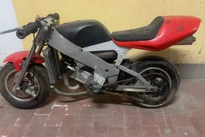 Polini Altro modello