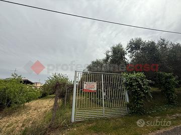 Terreno Agricolo Roma [787VRG]