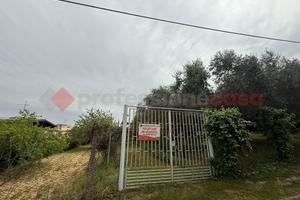 Terreno Agricolo Roma [787VRG]