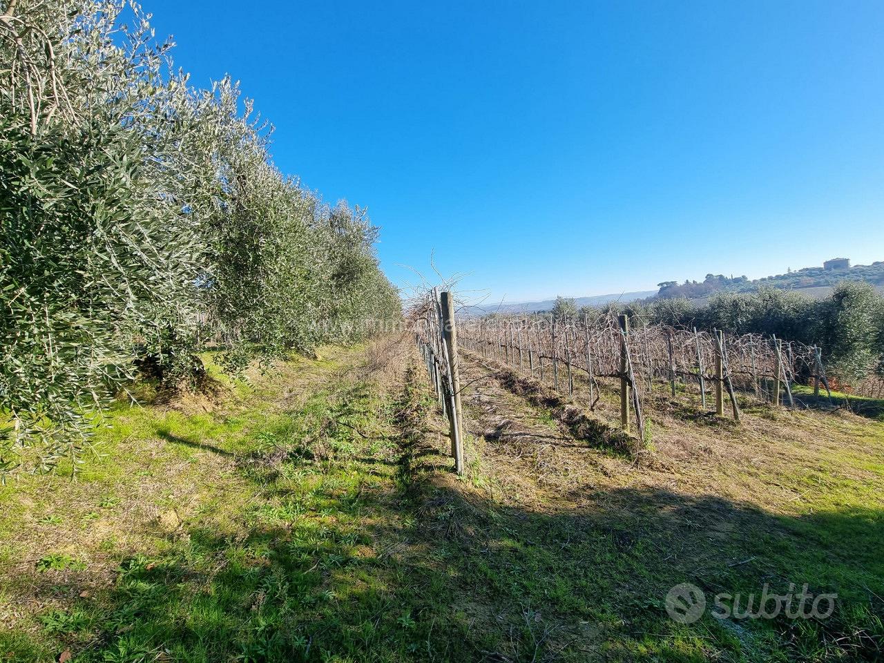 TE69 - Montepulciano terreno dove si può - Altro