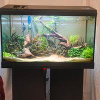 Acquario Askoll Tenerif 88 ( 130 litri )