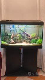 Acquario Askoll Tenerif 88 ( 130 litri )