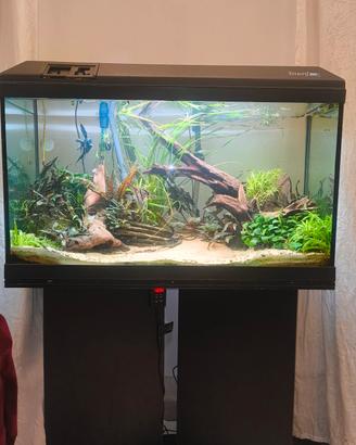 Acquario Askoll Tenerif 88 ( 130 litri )