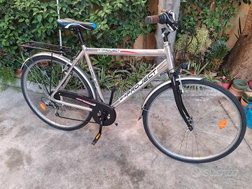 bicicletta da passeggio