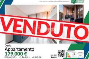 AMPIO BILOCALE RISTRUTTURATO CON BOX E CANTINA!