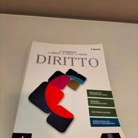 libro Diritto di Zagrebelski
