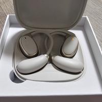 Auricolare  Intelligente traduzione in Tempo Reale