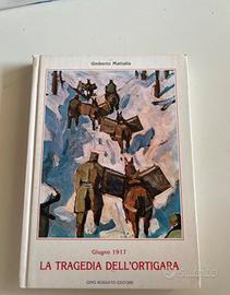 La Tragedia Dell'Ortigara Giugno 1917