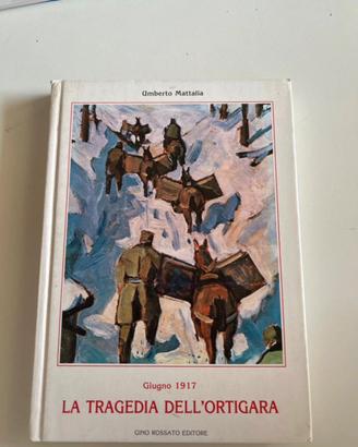 La Tragedia Dell'Ortigara Giugno 1917