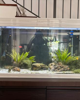 Acquario aquatlantis 200L leggi descrizione
