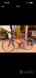 Mountain bike Atala